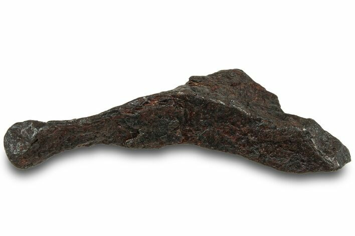 Canyon Diablo Iron Meteorite ( g) - Arizona #319662